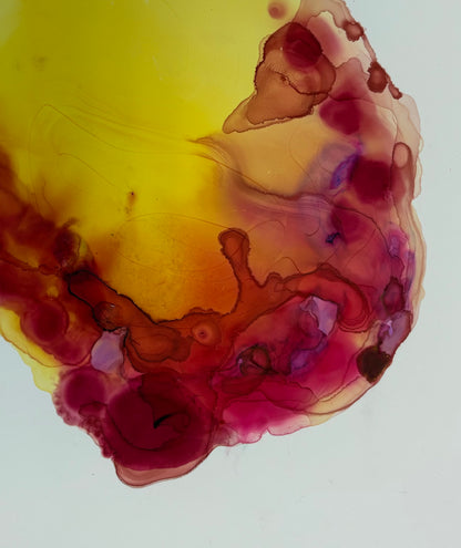Astral Abalone