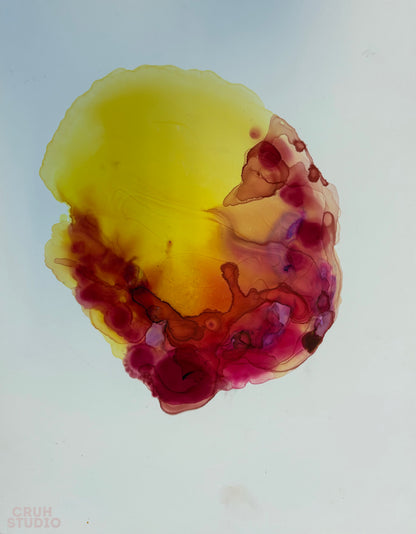 Astral Abalone