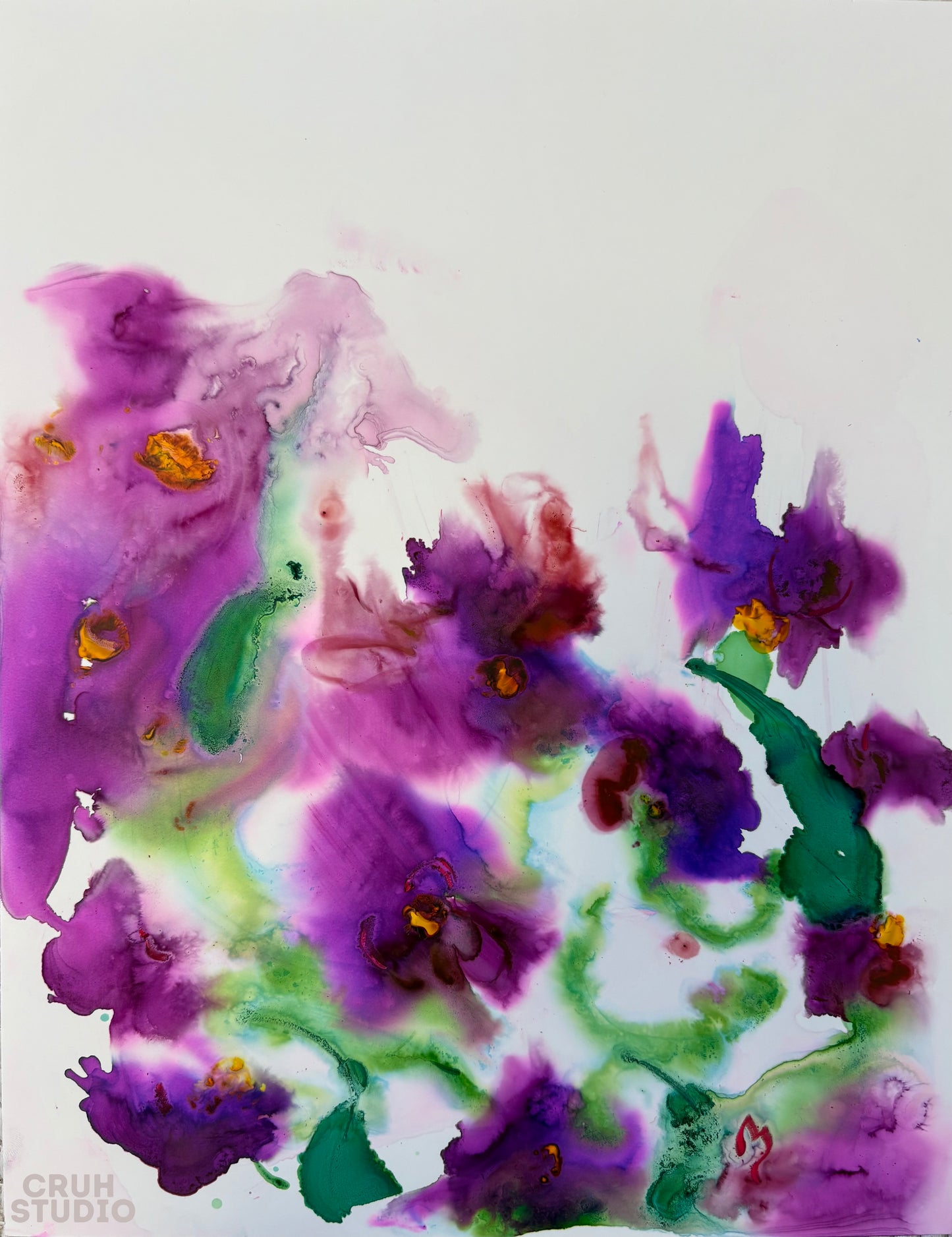 Conference of Violets