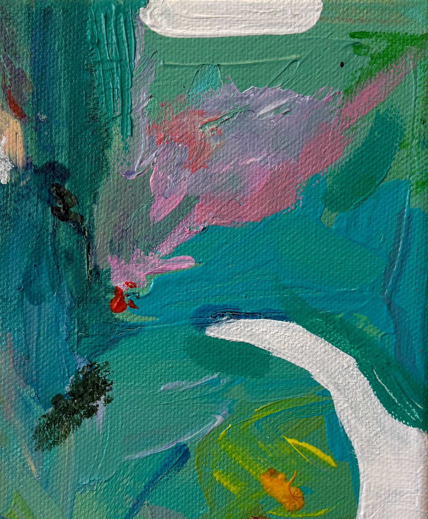 Tropic of Cancer